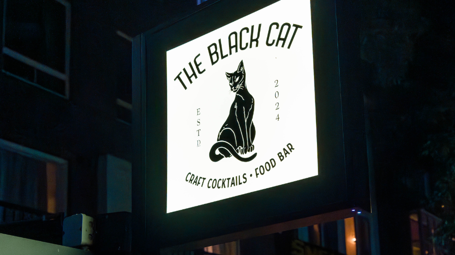 The Black Cat in Eindhoven_9