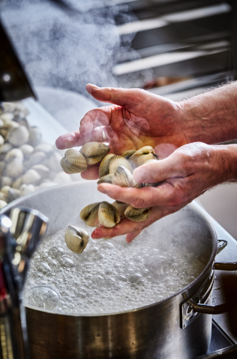 kokkels-in-de-pan